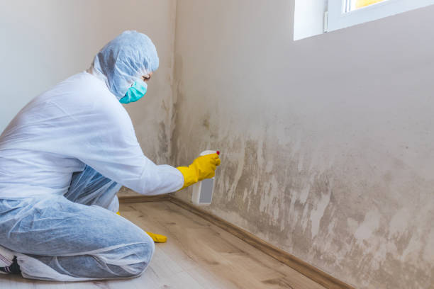Bathroom Mold Removal assessment in New Hope bathroom